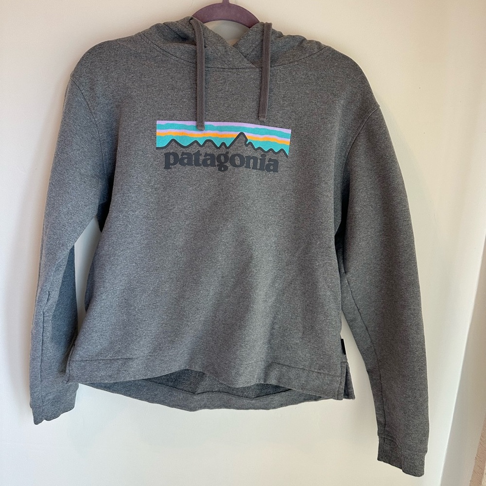 Patagonia sweatshirt